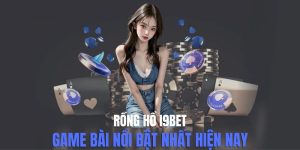 rồng hổ i9bet